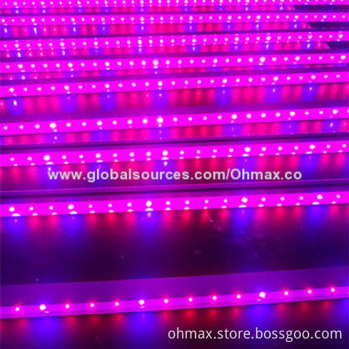 LED Hydroponic Grow Lights with Plant Factory, for Researching Planting Solutions and Greenhouse